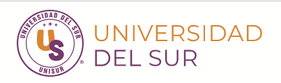 Universidad del Sur
